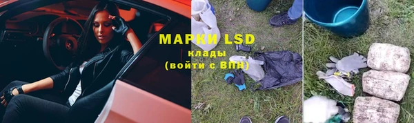 мдпв Верхний Тагил