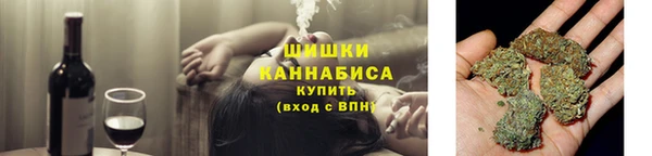 мдпв Верхний Тагил