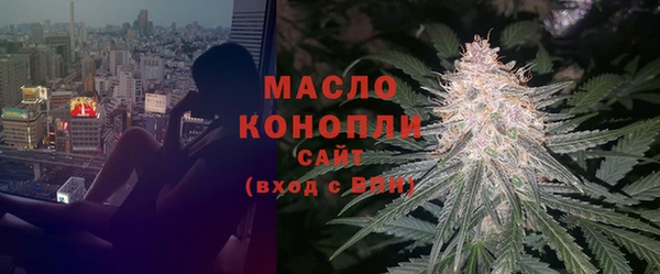 мдпв Верхний Тагил