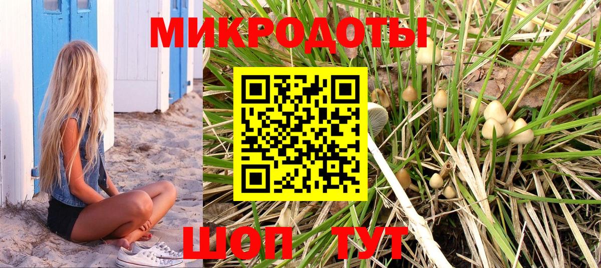 Галлюциногенные грибы GOLDEN TEACHER  купить наркоту  Мончегорск  Вход с VPN  Галлюциногенные грибы мицелий 