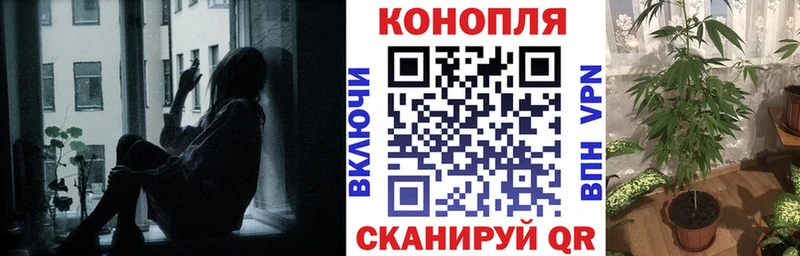 Шишки марихуана THC 21% Мончегорск