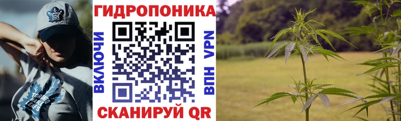 Конопля сатива  hydra вход  Мончегорск 